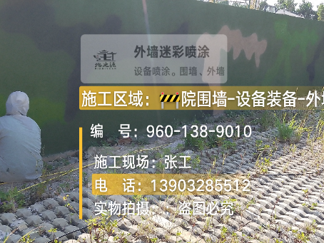 安徽外墙迷彩漆材料价约 45-60 元 /k