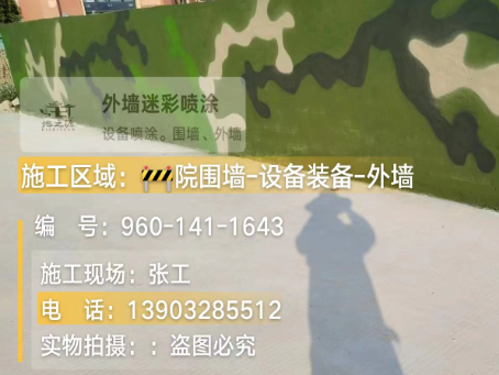 安徽 迷彩漆喷涂价格(按平方米计费)