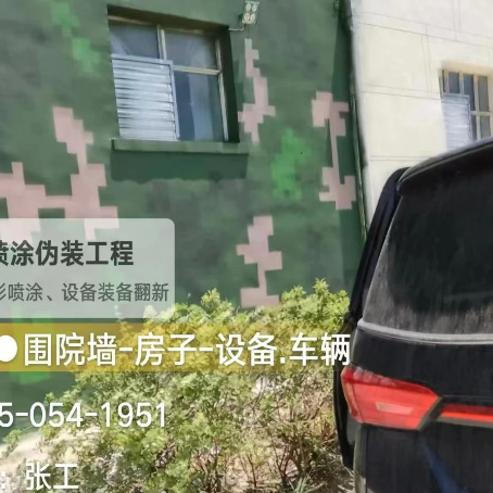 安徽数码迷彩漆施工